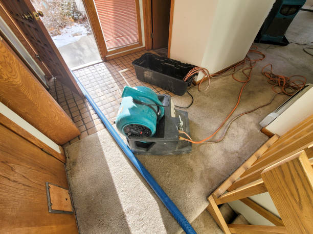 Best 24/7 water damage repair  in Rocky Ford, CO
