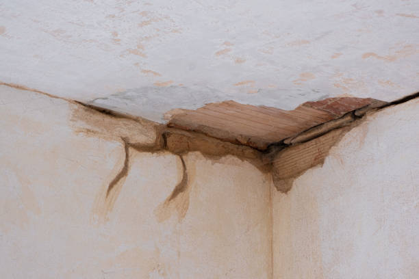 Best Professional water damage repair  in Rocky Ford, CO