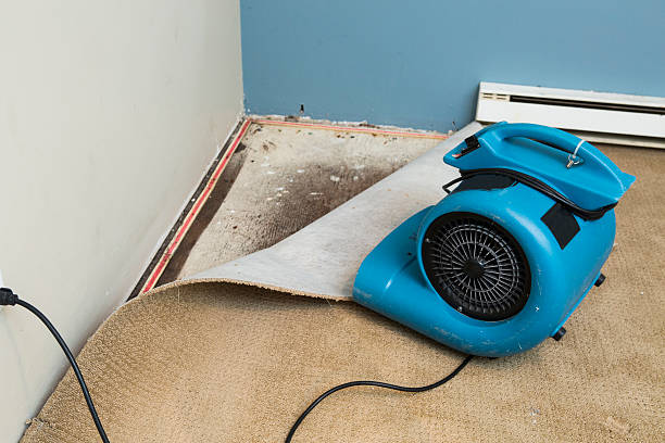 Best Water damage contractors near me  in Rocky Ford, CO